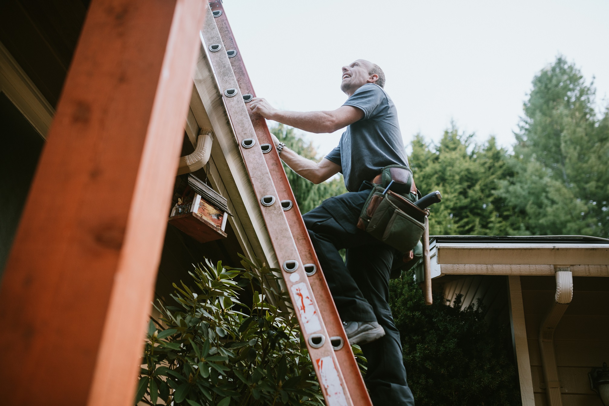 man adding new roof