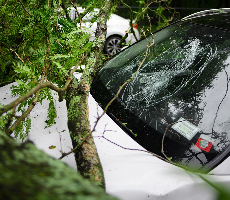 Broken windshield